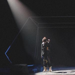 张柏芝给陈冠希吹口哨视频
